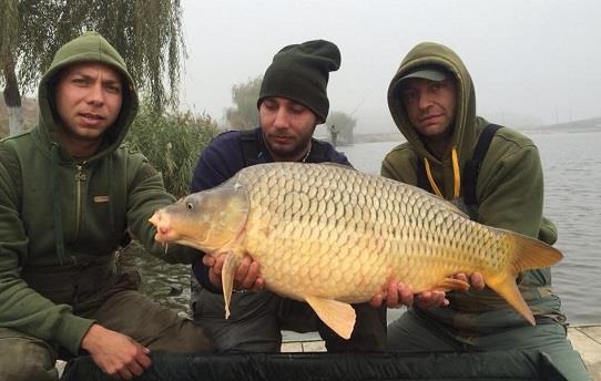 Ai ratat sedinta de aderari a clubului Claumar Insoft? Iata ce solutie exista.